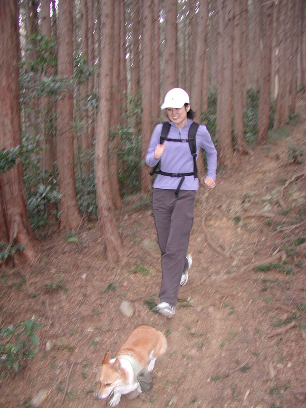 ���݂��q�n�n�l