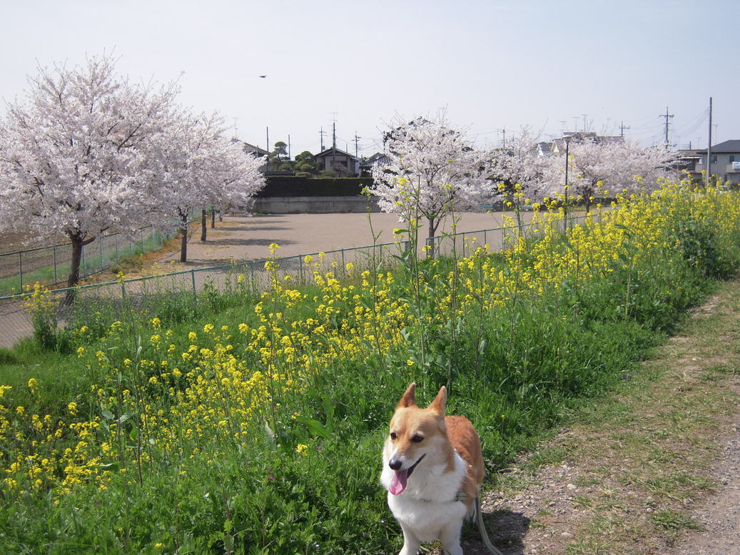 ���݂��q�n�n�l