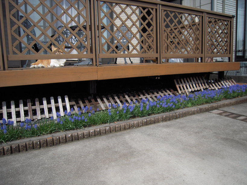 ���݂��q�n�n�l