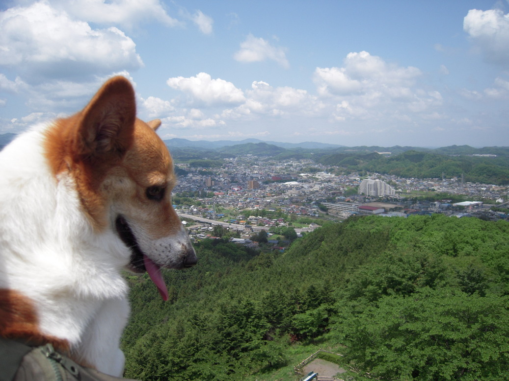 ���݂��q�n�n�l