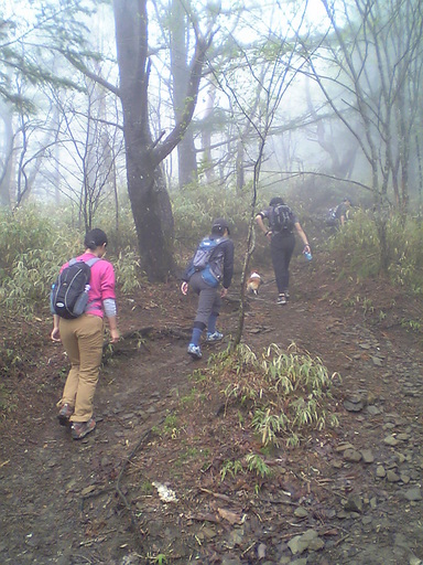 ���݂��q�n�n�l