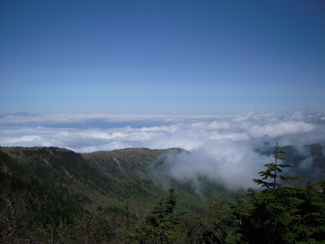 ���݂��q�n�n�l