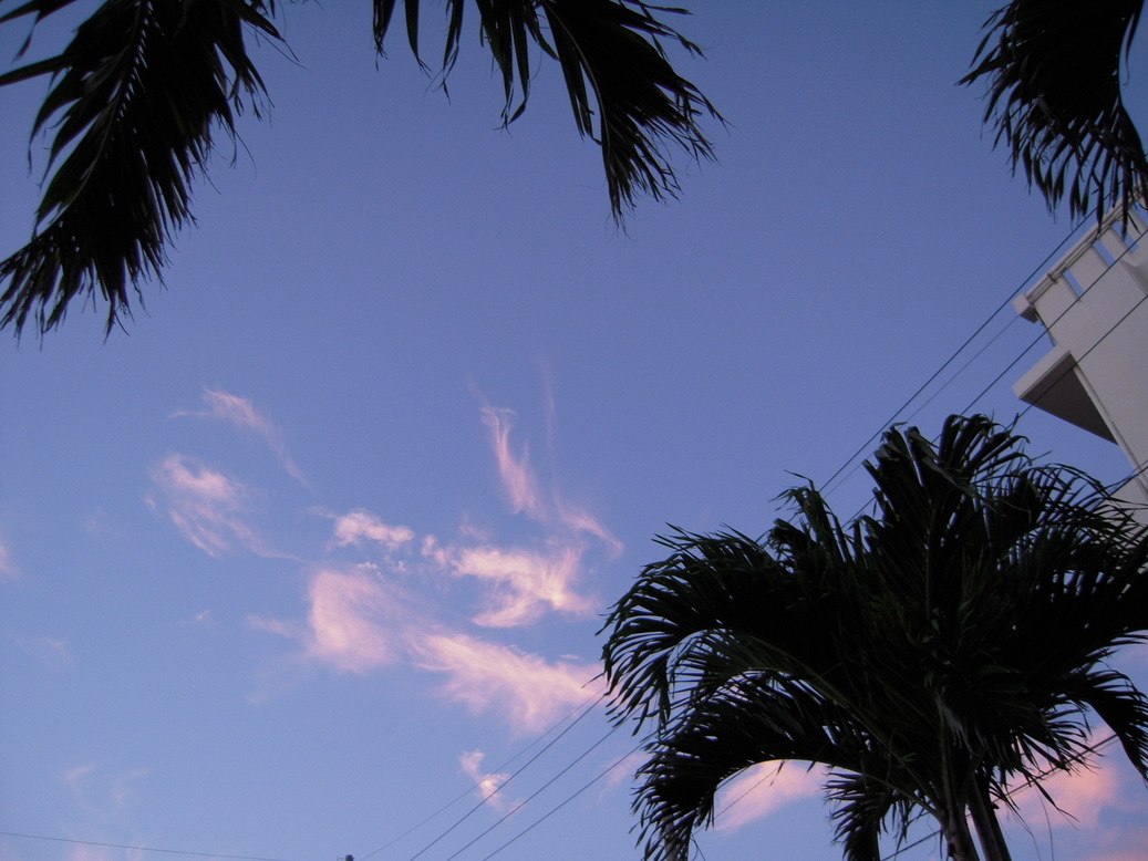 ���݂��q�n�n�l