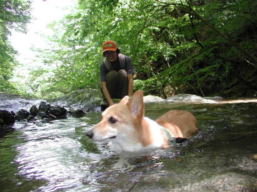 ���݂��q�n�n�l