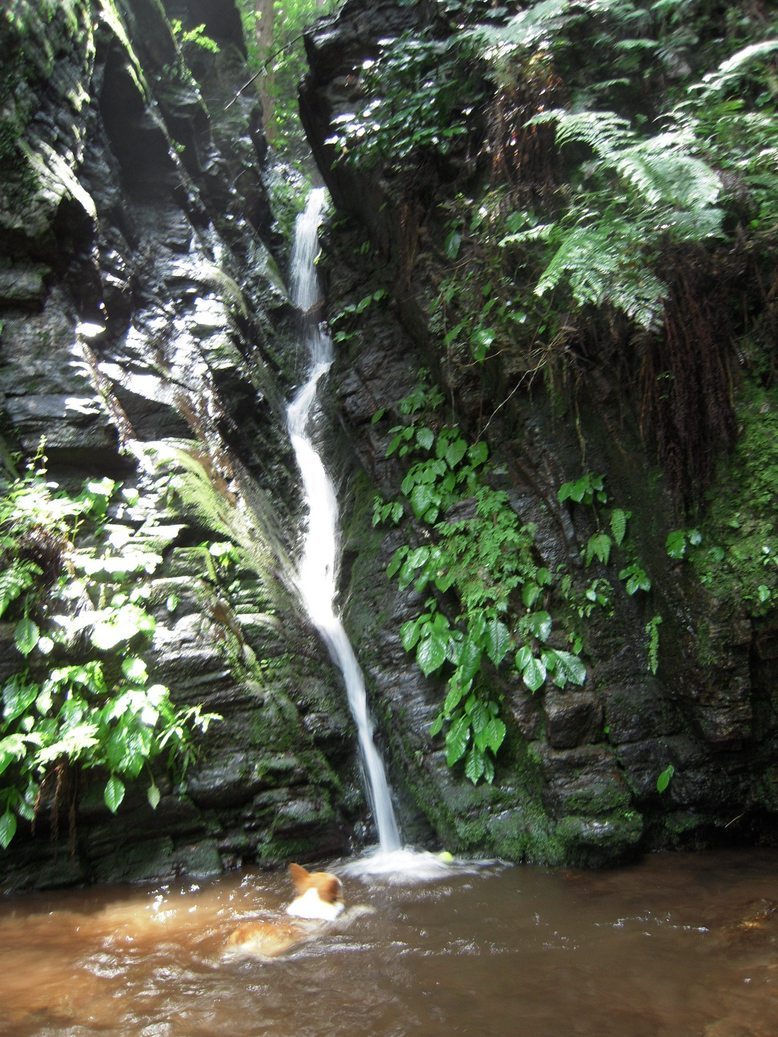 ���݂��q�n�n�l