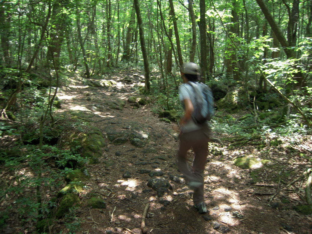 ���݂��q�n�n�l