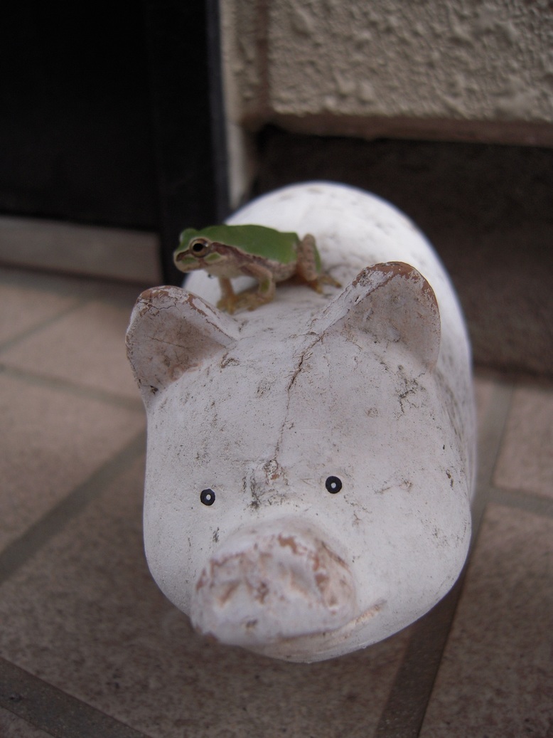 ���݂��q�n�n�l