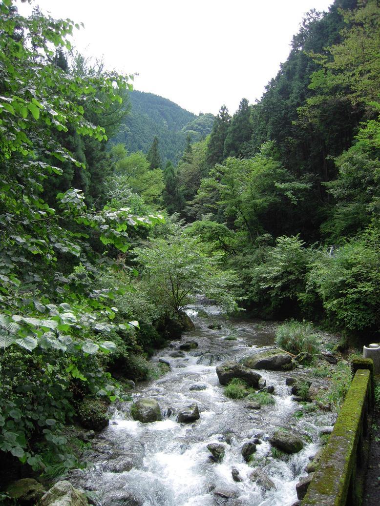 ���݂��q�n�n�l