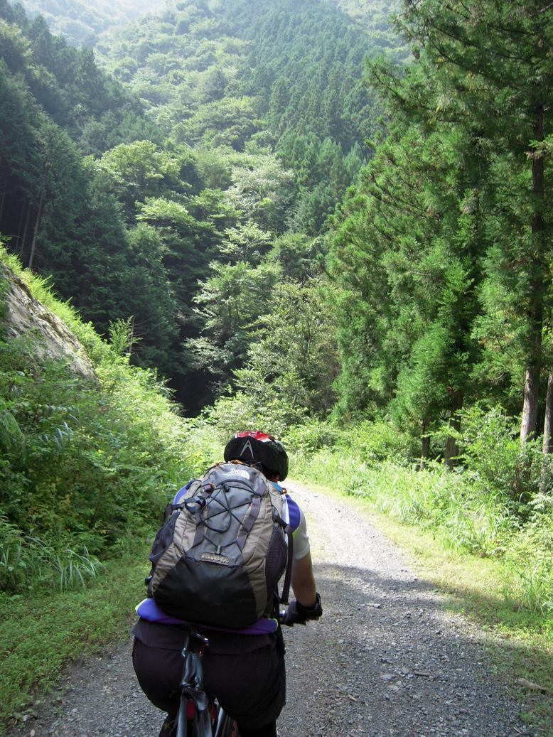 ���݂��q�n�n�l