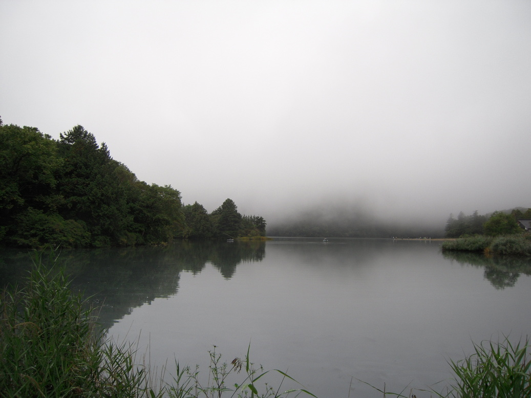 ���݂��q�n�n�l