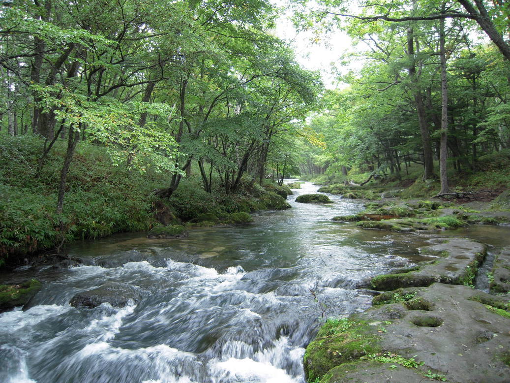 ���݂��q�n�n�l