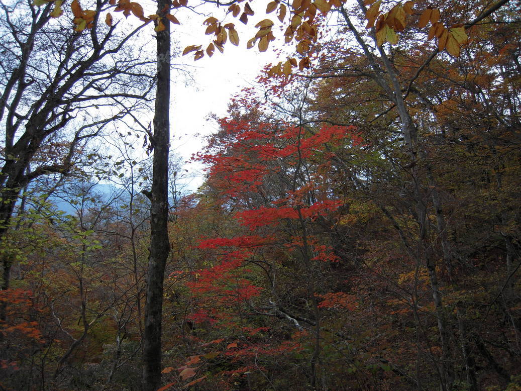 ���݂��q�n�n�l