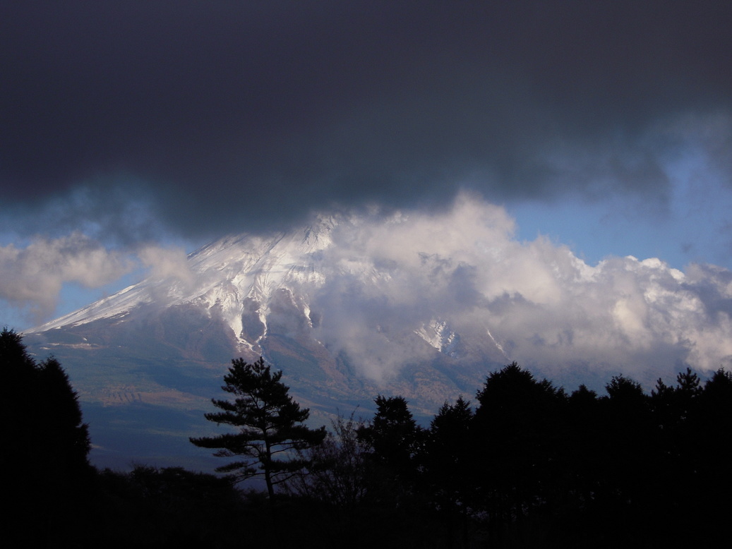 ���݂��q�n�n�l