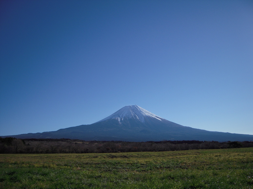 ���݂��q�n�n�l