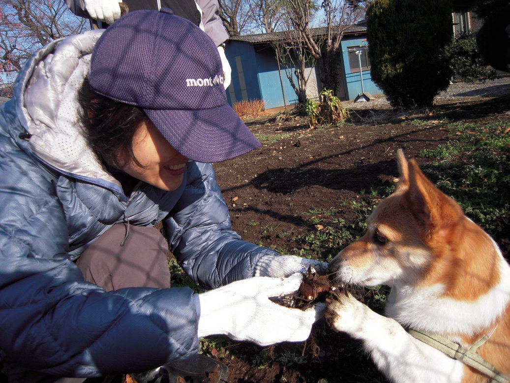 ���݂��q�n�n�l