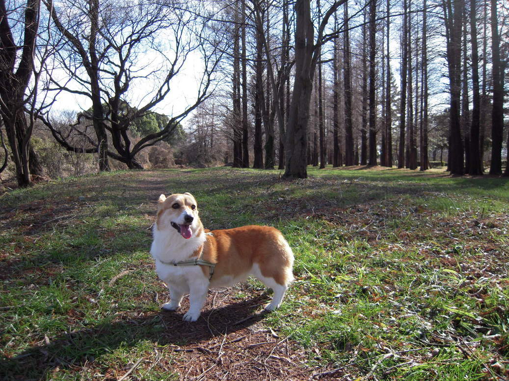 ���݂��q�n�n�l