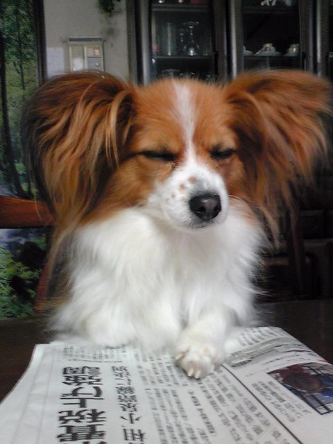 ���݂��q�n�n�l