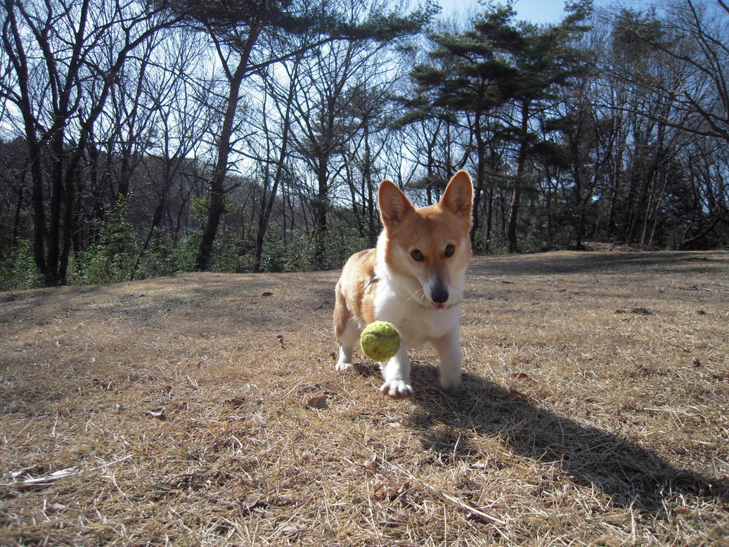 ���݂��q�n�n�l