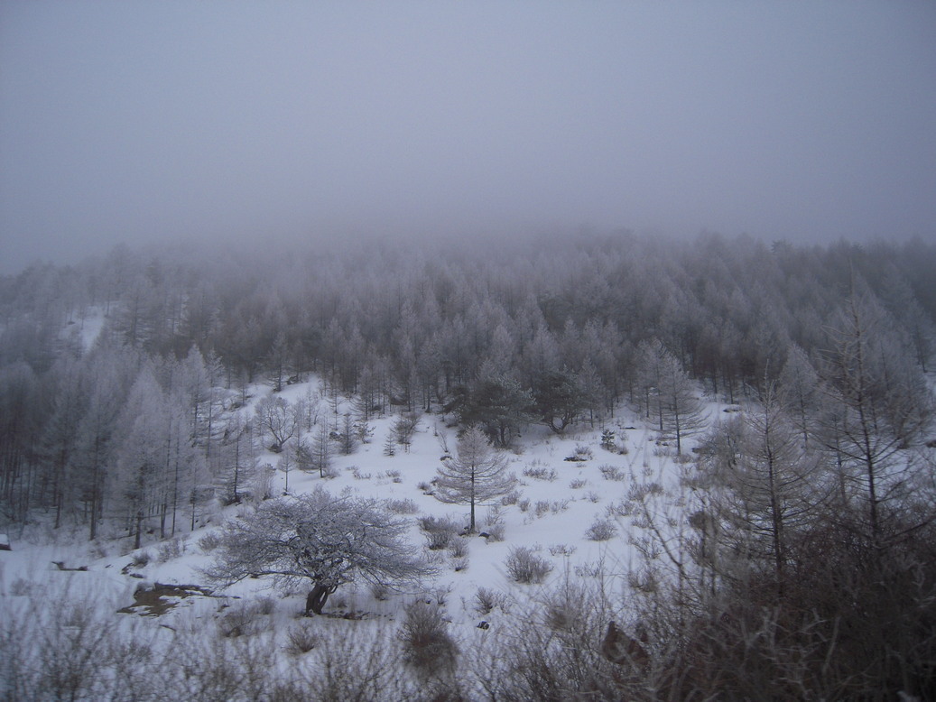 ���݂��q�n�n�l