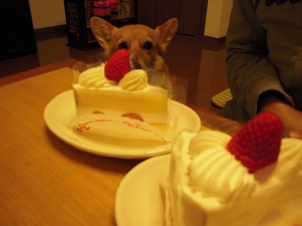 ���݂��q�n�n�l