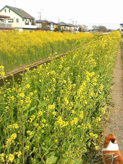 ���݂��q�n�n�l