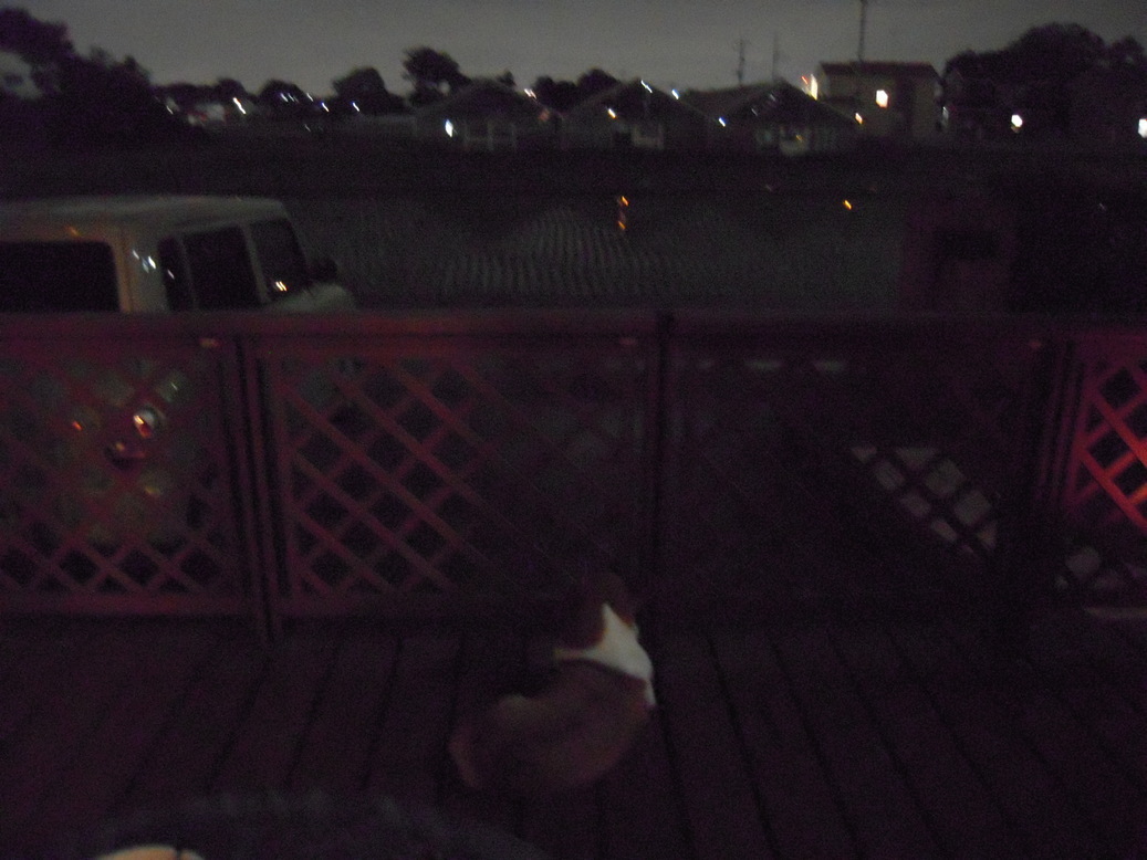 ���݂��q�n�n�l