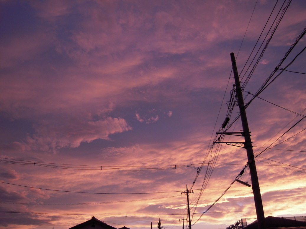 ���݂��q�n�n�l