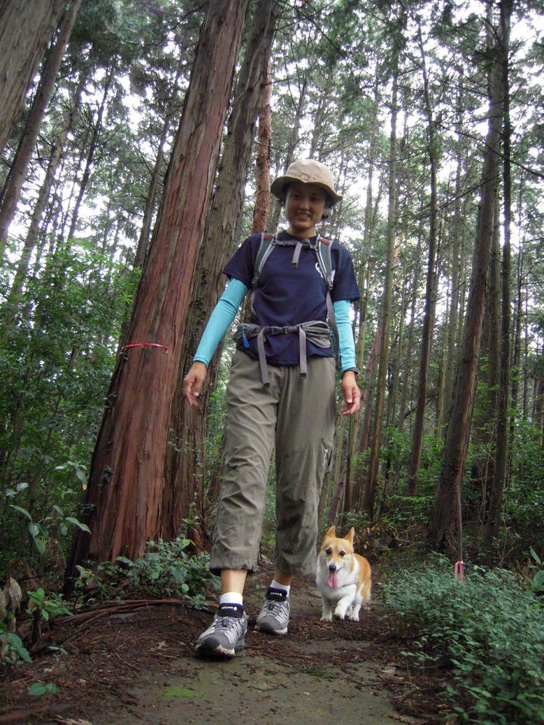 ���݂��q�n�n�l