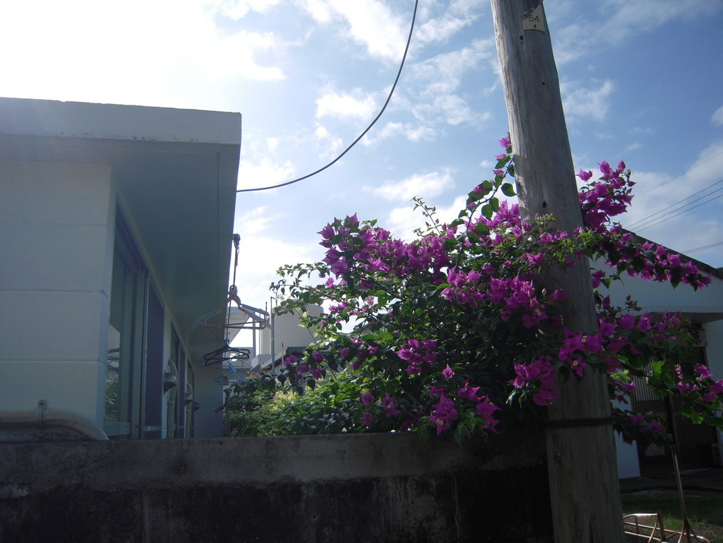 ���݂��q�n�n�l