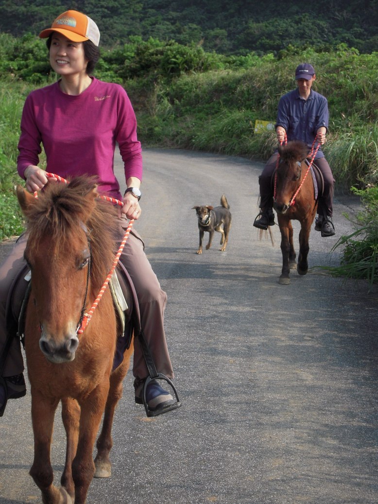 ���݂��q�n�n�l