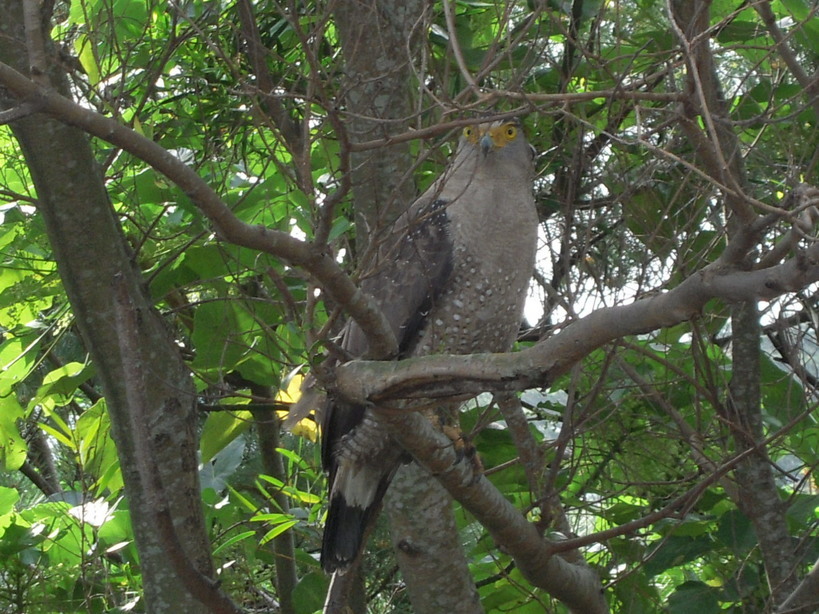 ���݂��q�n�n�l