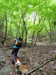 ���݂��q�n�n�l