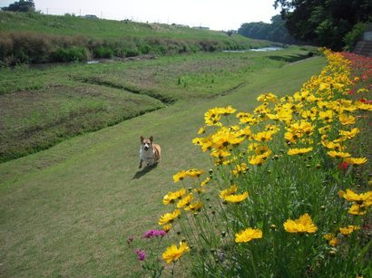 ���݂��q�n�n�l