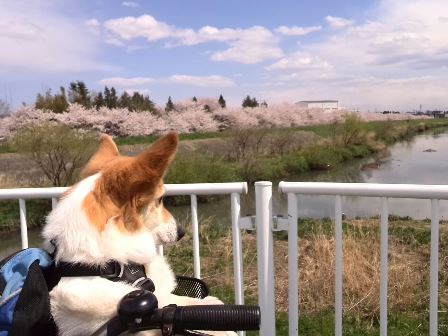 ���݂��q�n�n�l