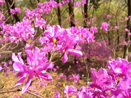 ���݂��q�n�n�l