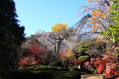 ���R�����߂�