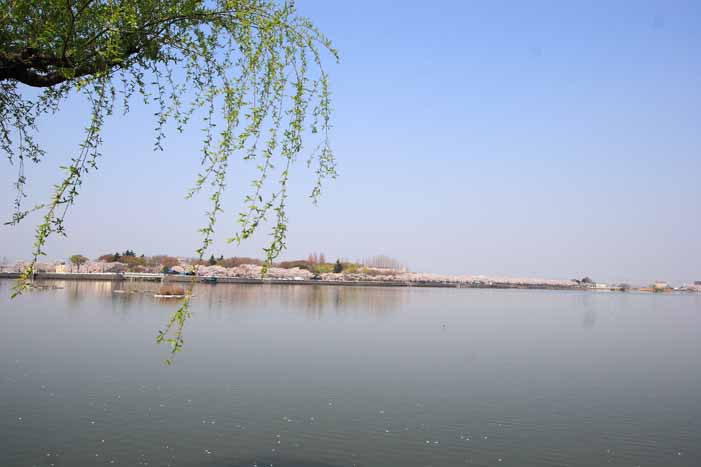 ���R�����߂�