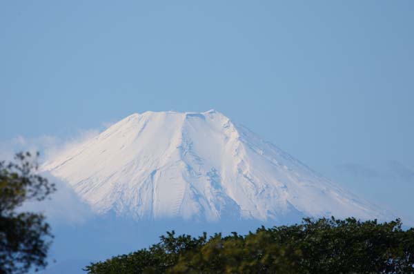 ���R�����߂�