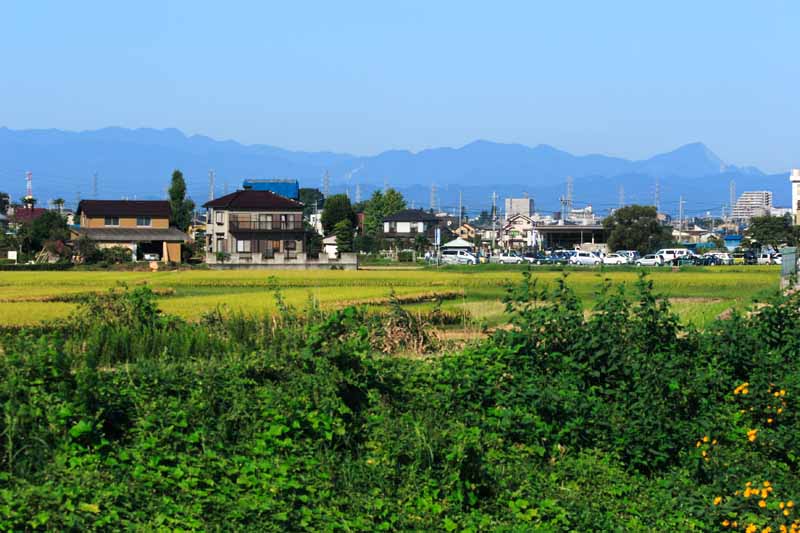 ���R�����߂�