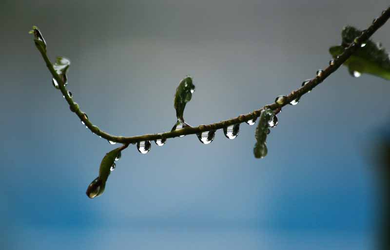 ���R�����߂�