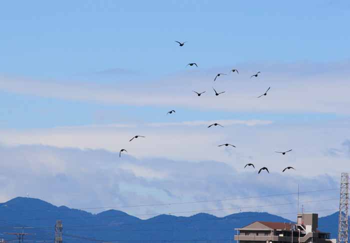 ���R�����߂�