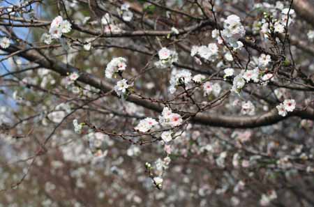 ���R�����߂�