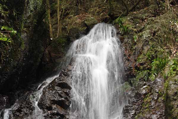 ���R�����߂�