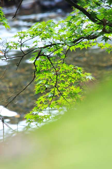 ���R�����߂�