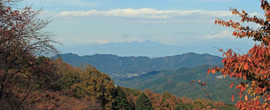 ���R�����߂�