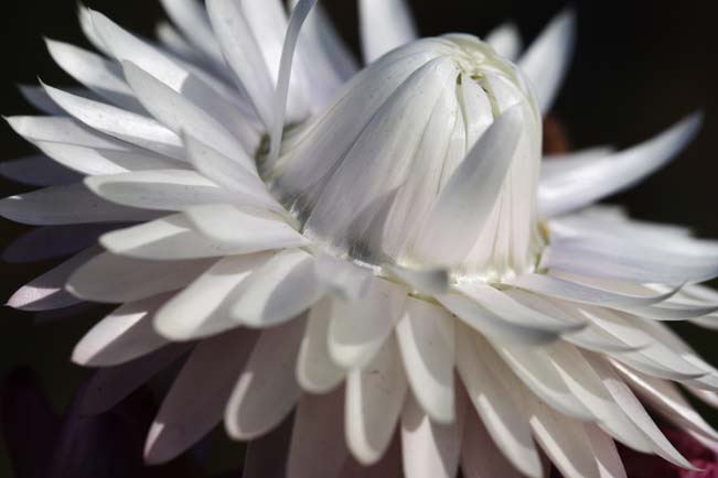 ���R�����߂�