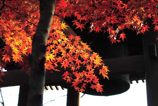 ���R�����߂�