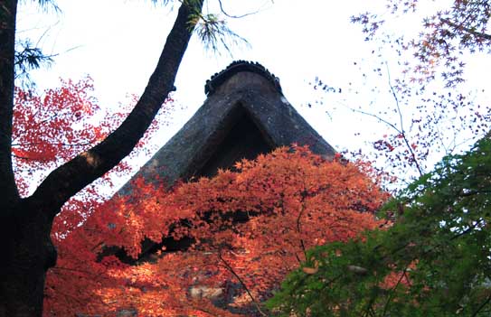 ���R�����߂�