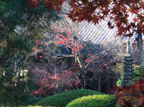 ���R�����߂�