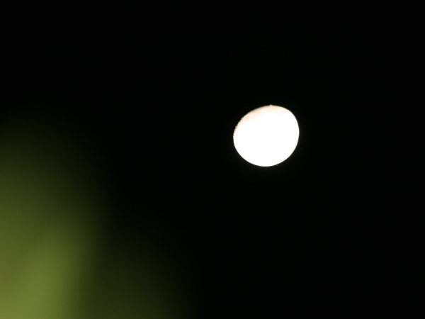 ���R�����߂�